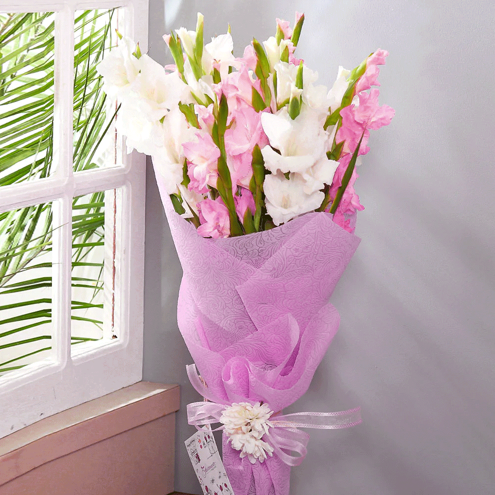 Bulbi Gladiole Roz & Alb 10 buc