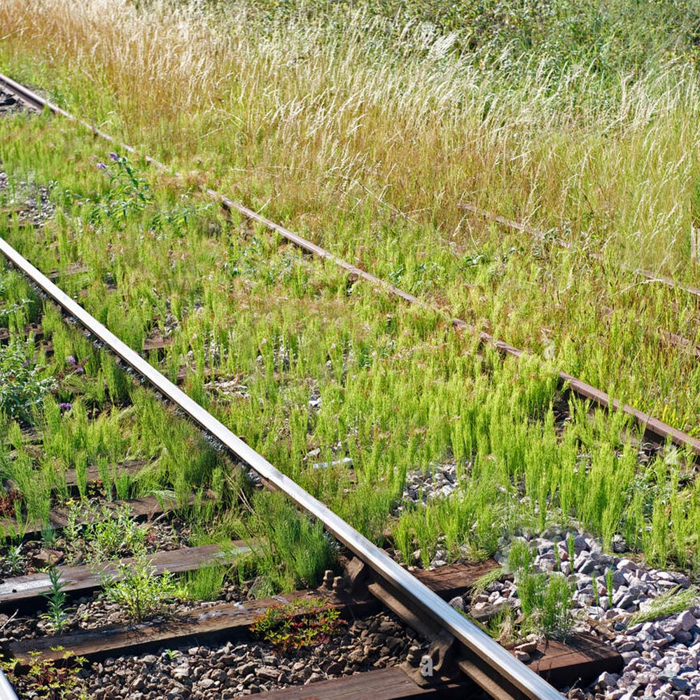 Erbicid total Dominator Clean