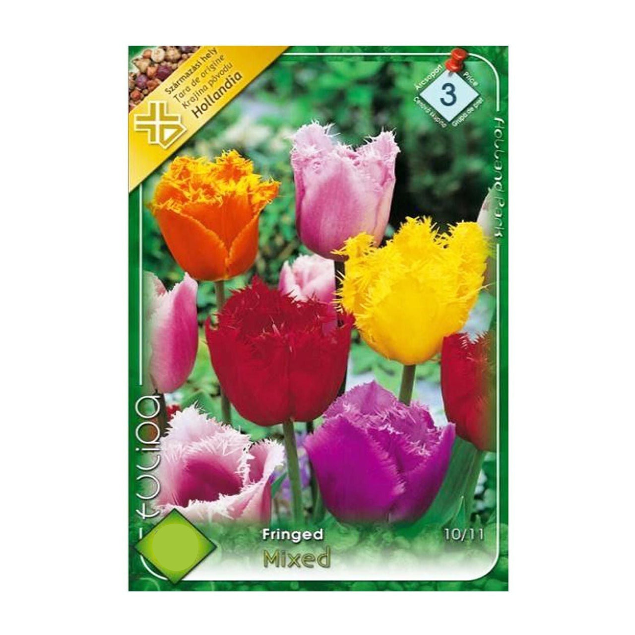 Bulbi Lalele Fringed Mixed 8 buc