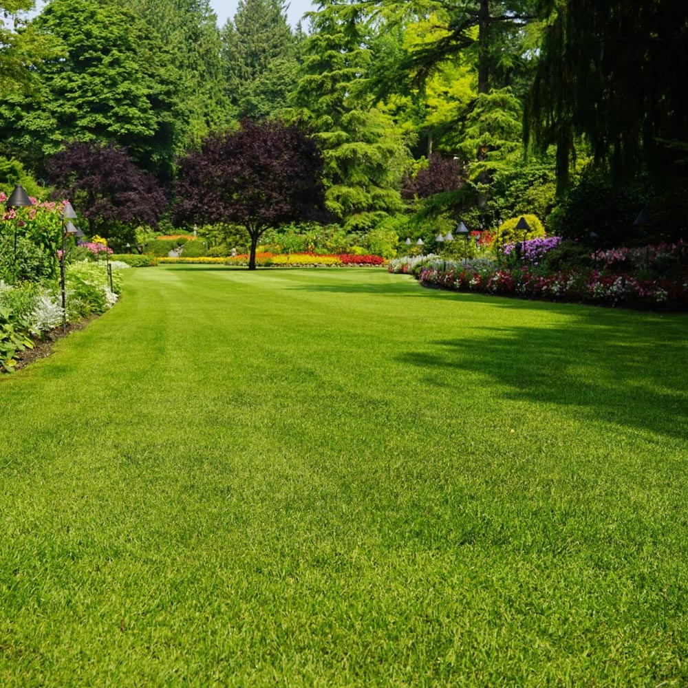 Erbicid SDMA Super (100ml, 500ml, 1L)