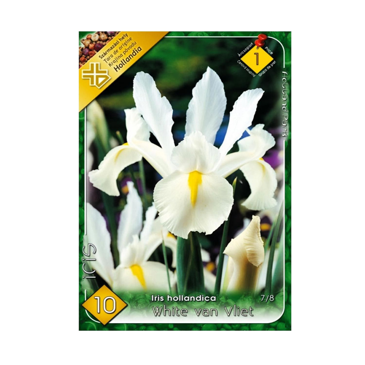 Bulbi Iris White van Vliet 10 buc