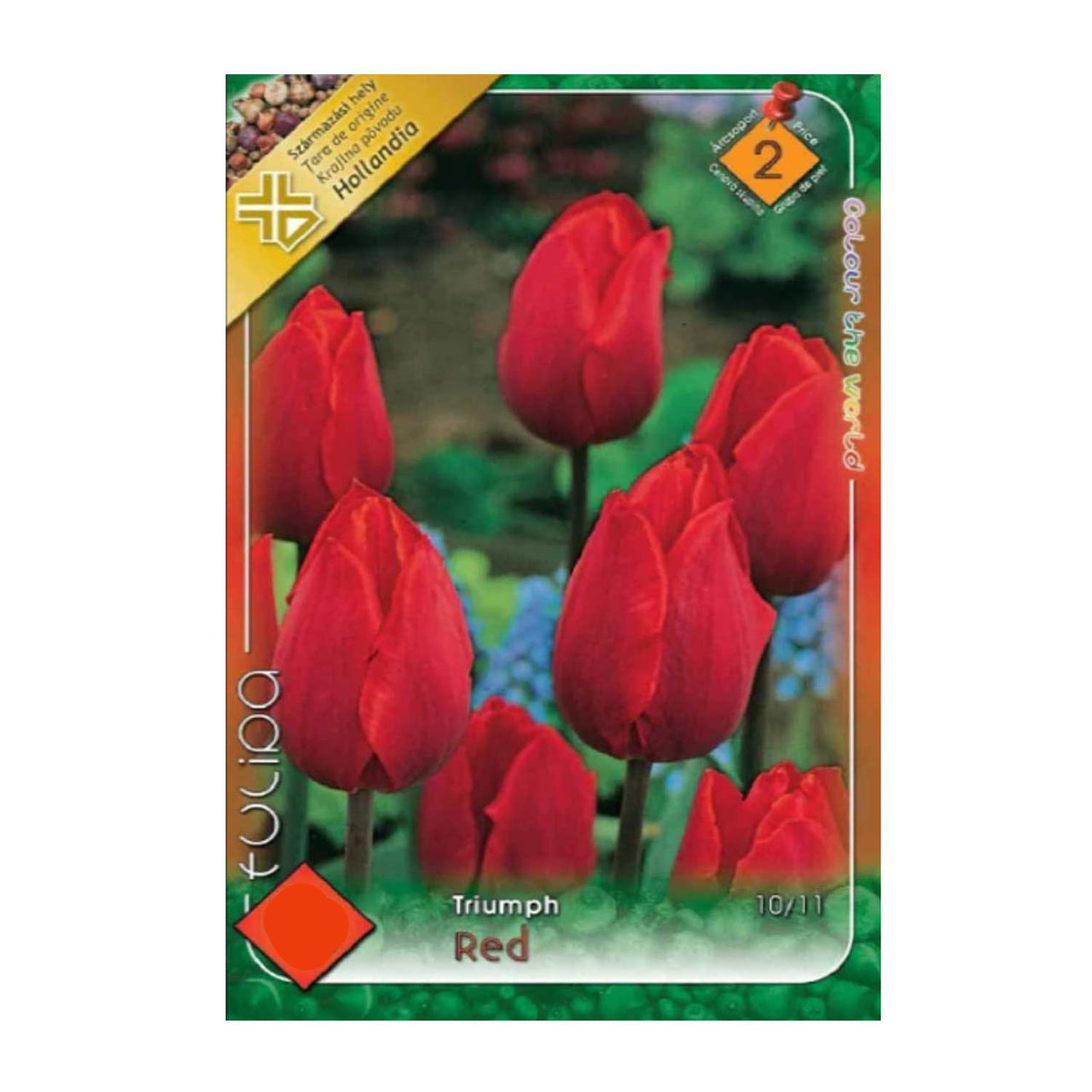 Bulbi Lalele Red 6 buc