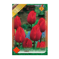 Thumbnail for Bulbi Lalele Red 6 buc