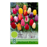 Thumbnail for Bulbi Lalele Triumph Mixed (10 buc, 25 buc)