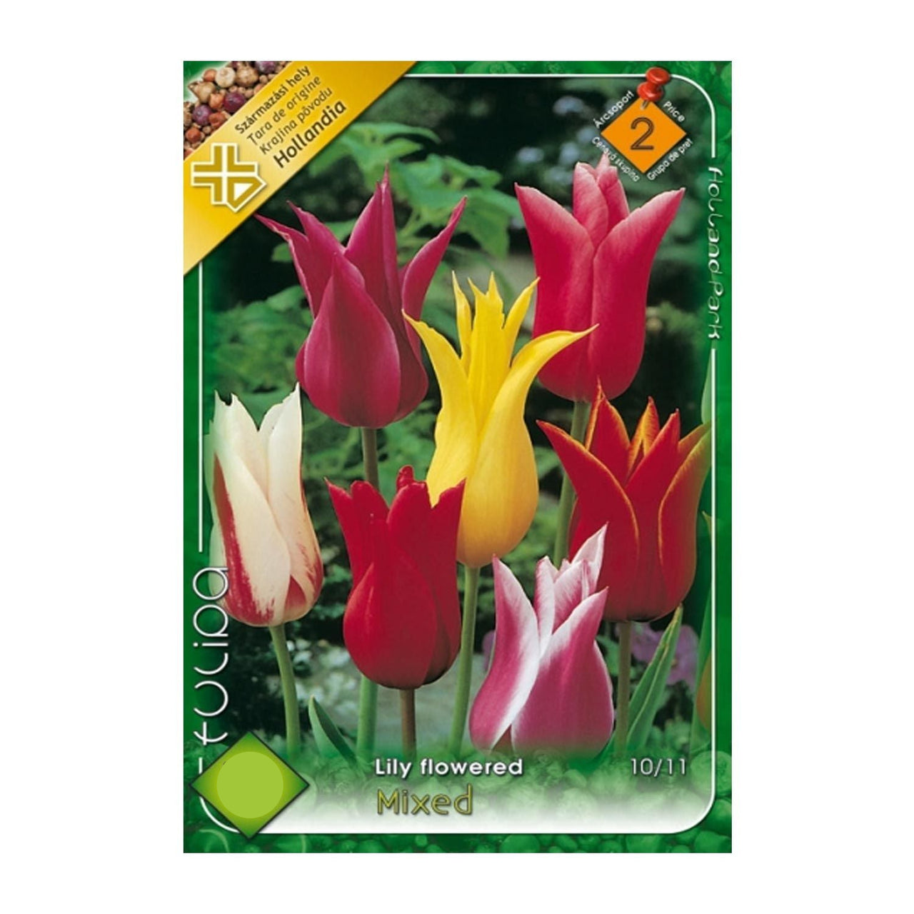 Bulbi Lalele tip crin mix (6 buc, 20 buc)
