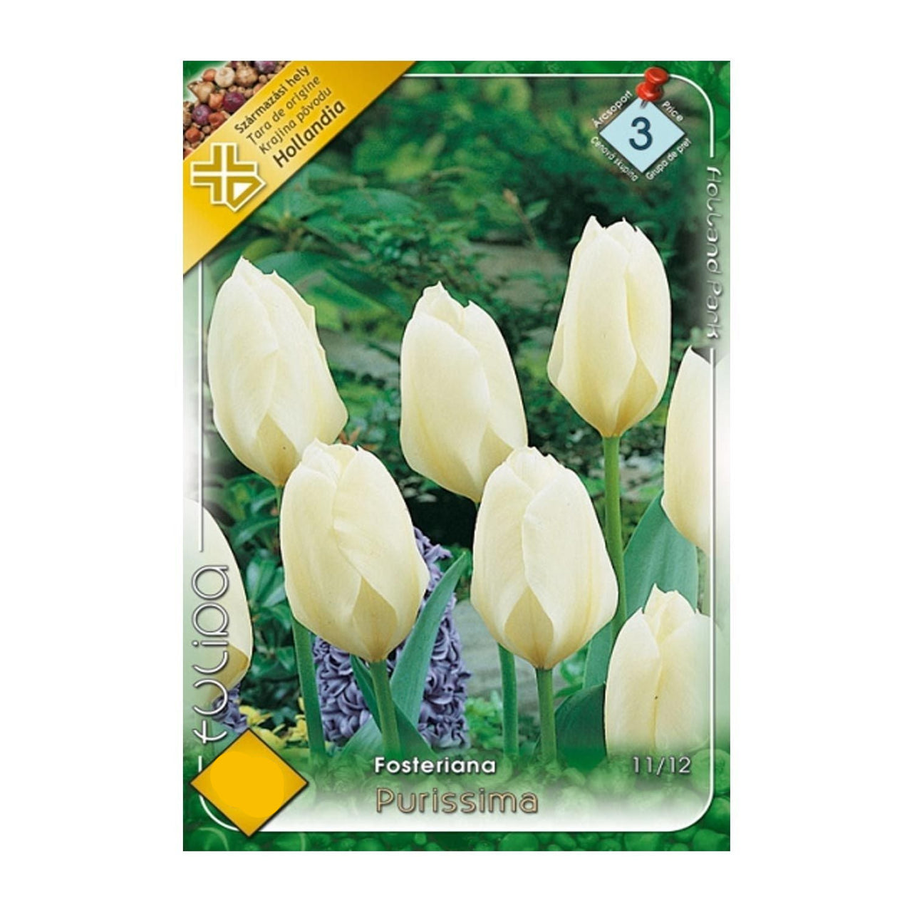 Bulbi Lalele Purissima 7 buc