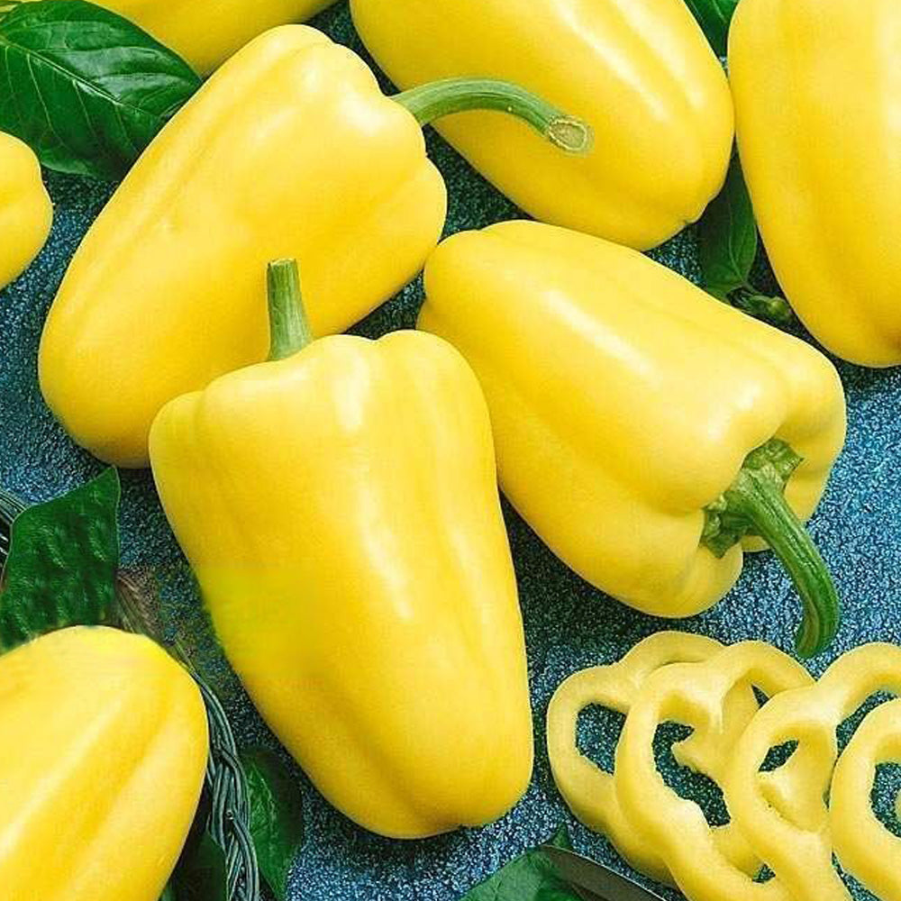 Seminte Ardei Gras Taltos 0.3g