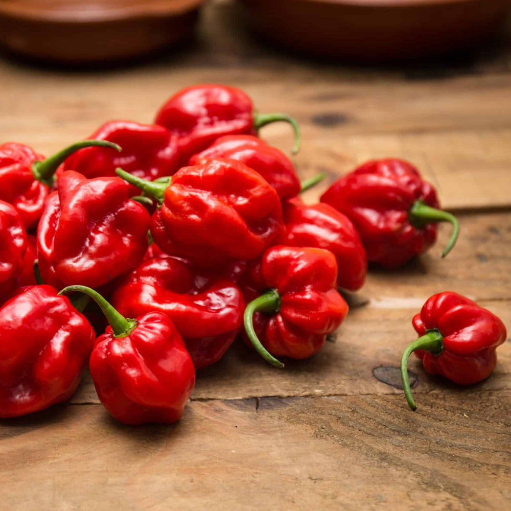 Seminte Ardei Iute Habanero Rosu 20 sem