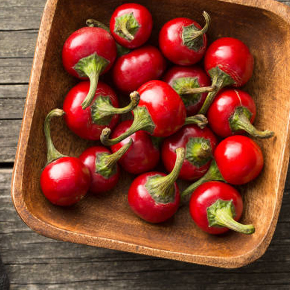 Seminte Ardei Iute Koral 0.5 g