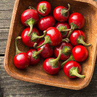 Thumbnail for Seminte Ardei Iute Koral 0.5 g