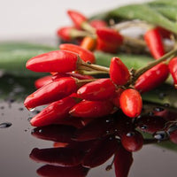 Thumbnail for Seminte Ardei Iute Ornamental Etna 20 sem