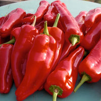 Thumbnail for Seminte Ardei Kapya Max 10 g