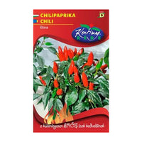 Thumbnail for Seminte Ardei Iute Ornamental Etna 20 sem