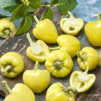 Thumbnail for Seminte Ardei Gras Almapaprika Zsofia F1 20 sem