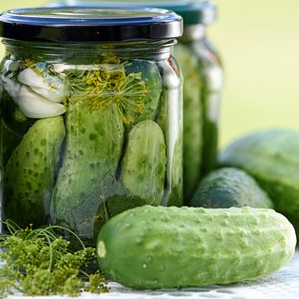 Seminte Castraveti Cornichon Florist 10 g