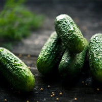 Thumbnail for Seminte Castraveti Delicatess 2 g