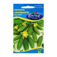 Thumbnail for Seminte Castraveti Delicatess 2 g