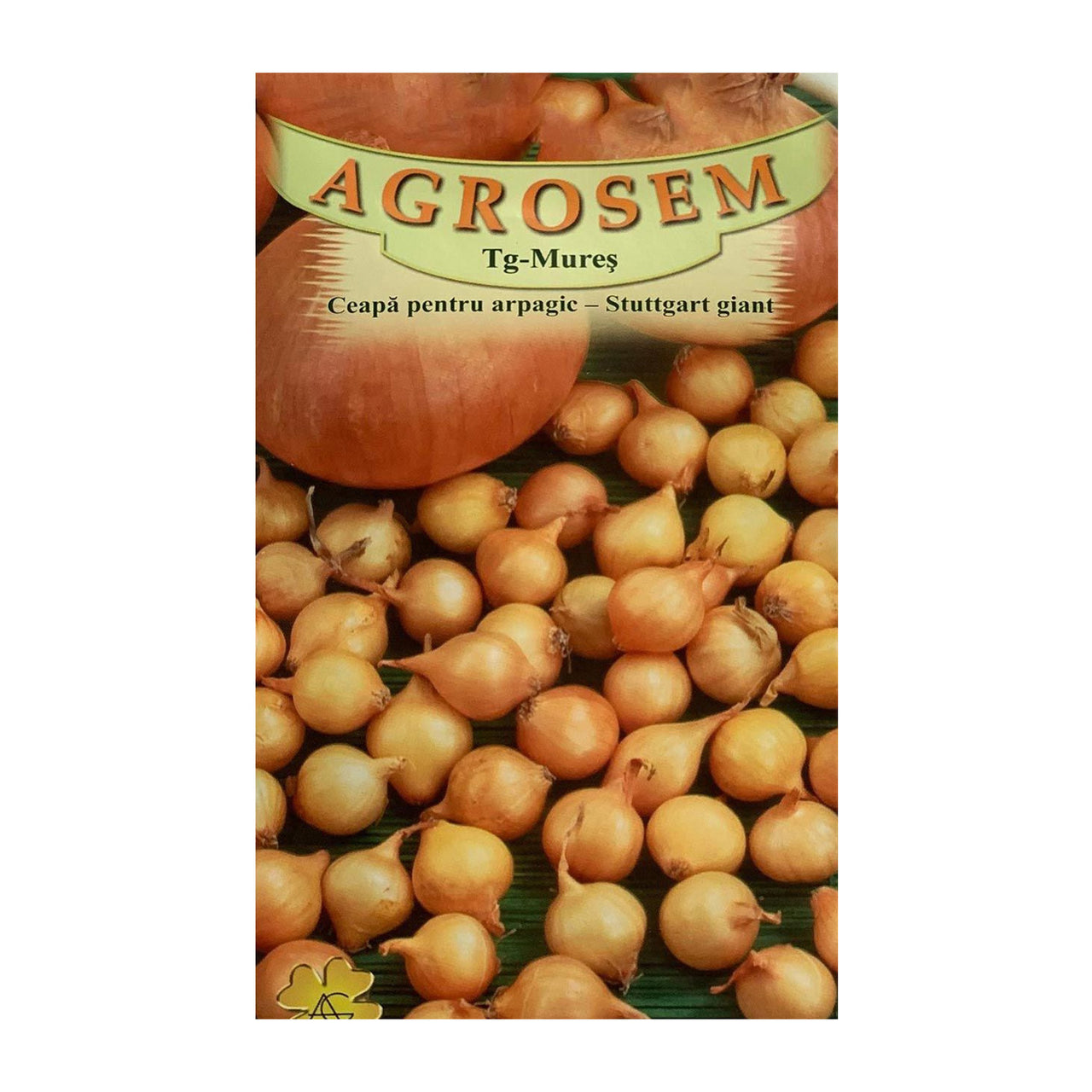 Seminte Ceapa pentru arpagic Stuttgart Giant 2g