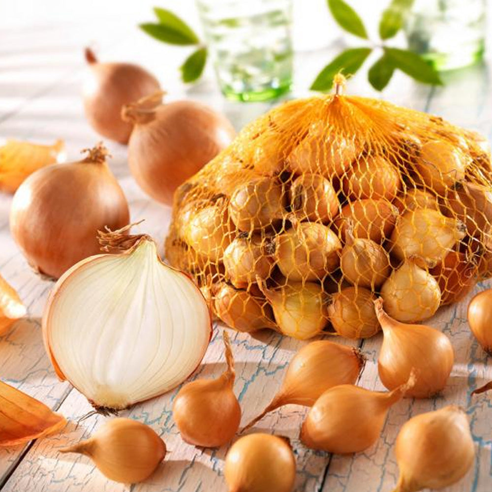 Seminte Ceapa pentru arpagic Stuttgart Giant 2g