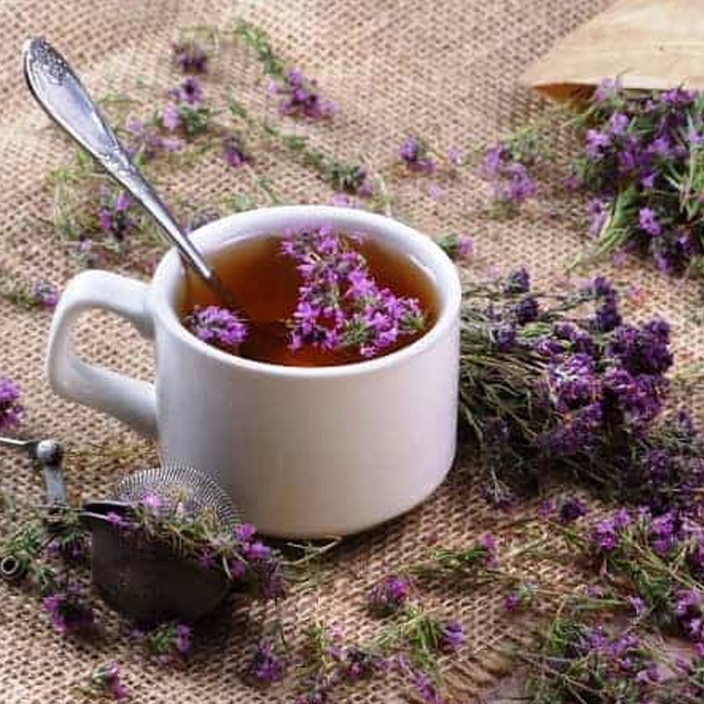 Seminte Cimbrisor 0.5 g