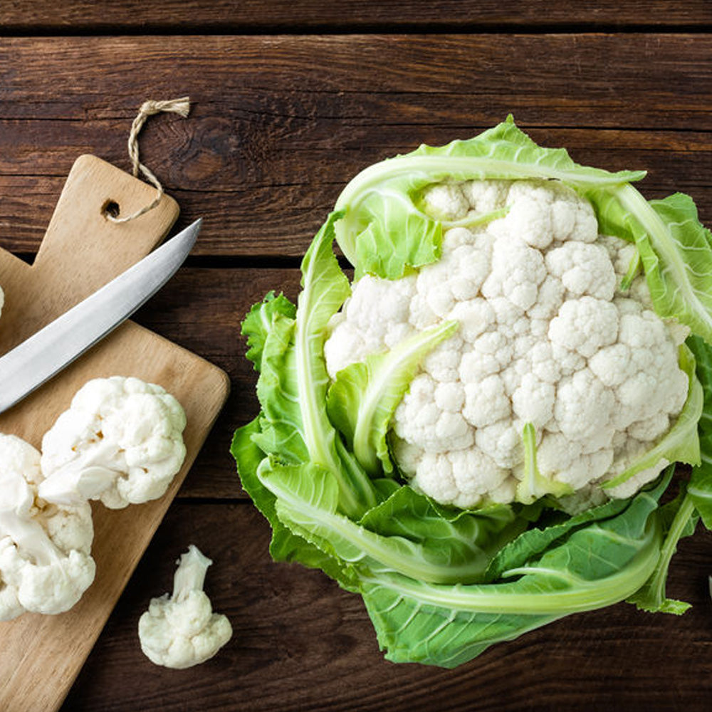 Seminte Conopida Snowball X 1 g