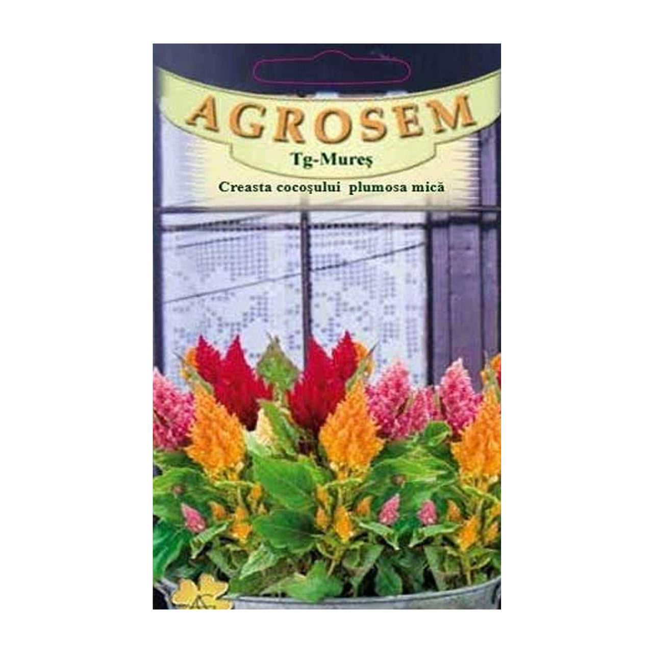 Seminte flori Creasta Cocosului Mica (Celosia argentea var. plumosa) Mix 0.4g