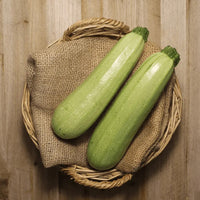 Thumbnail for Seminte Dovlecel Long White Bush 25 g