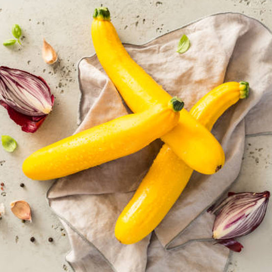 Seminte Dovlecel Zucchini Goldena 3 g