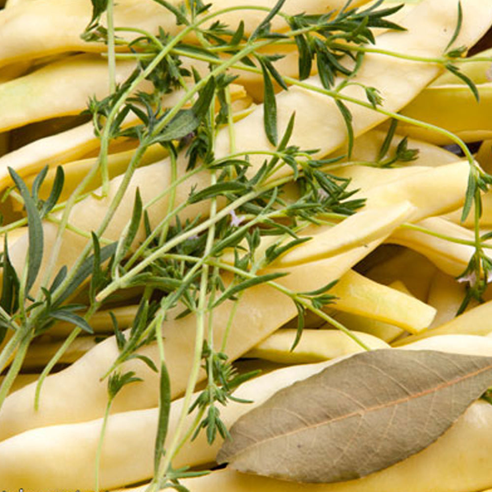 Seminte Fasole Minunea  Venetiei 30 g