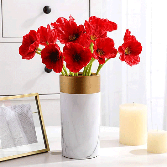 Seminte flori Mac (Papaver Orientale) rosu  0.05g