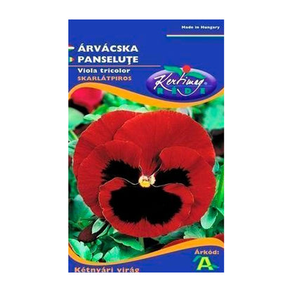 Seminte flori Panselute (Viola wittrockiana) bordo 0.25g