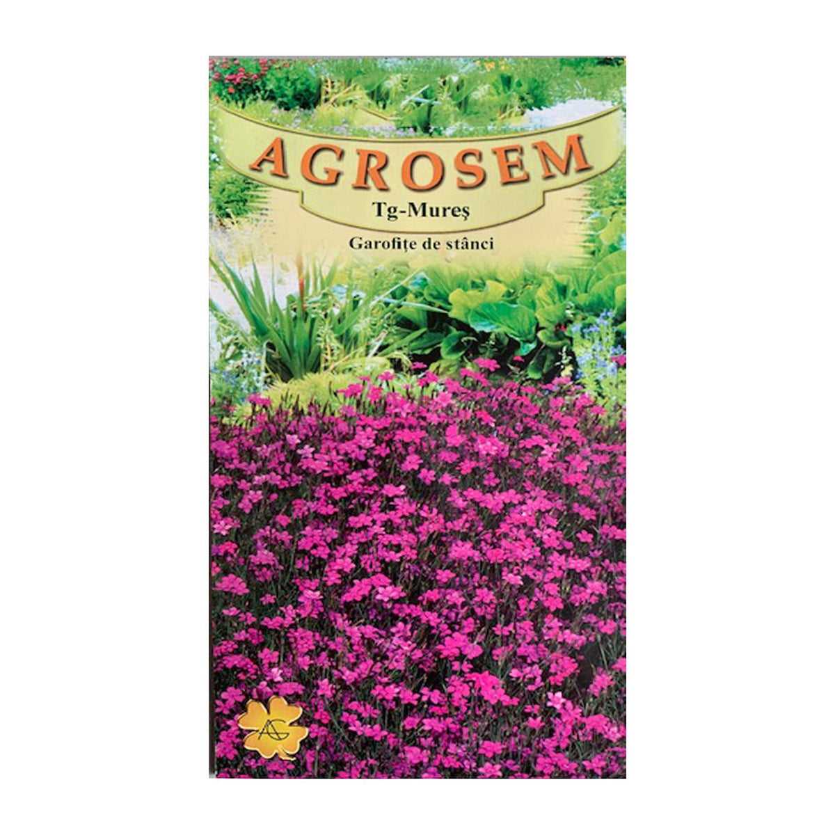 Seminte flori Garofite de stanci (Dianthus deltoides) roz 0.1g
