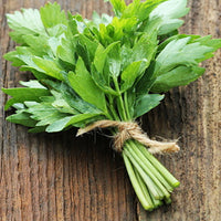 Thumbnail for Seminte Leustean 2 g