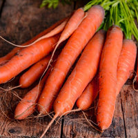 Thumbnail for Seminte Morcovi Nantes 2 5 g