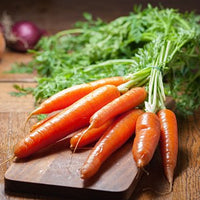 Thumbnail for Seminte Morcovi Fertodi Voros 4 g