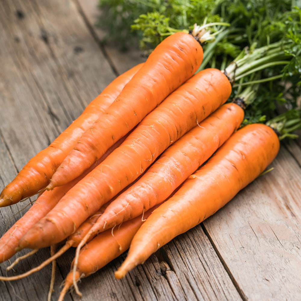 Seminte Drajate Morcovi Flakker 400 sem