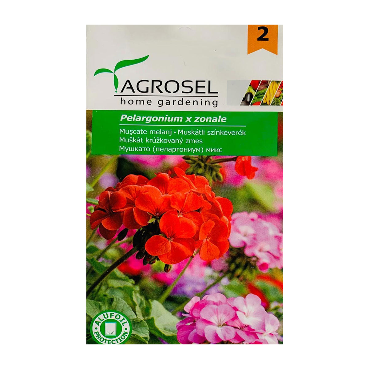 Seminte flori Muscate (Pelargonium zonale) mix 0.08g