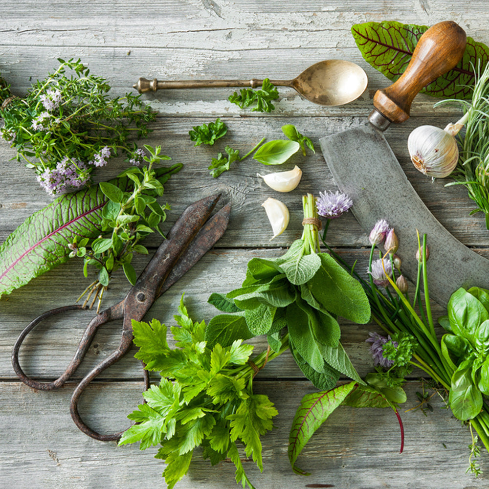 Seminte pe banda Amestec de Plante Aromatice 2 x 2 m