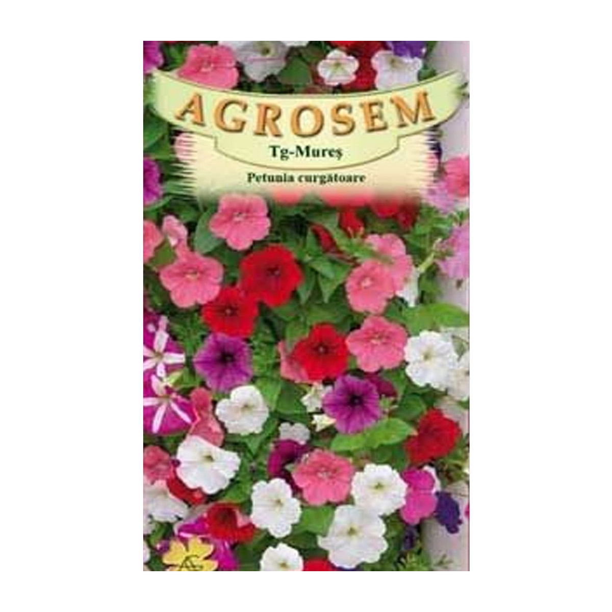Seminte flori Petunia Curgatoare (Petunia Hybrida Pendula) Mix 0.15g