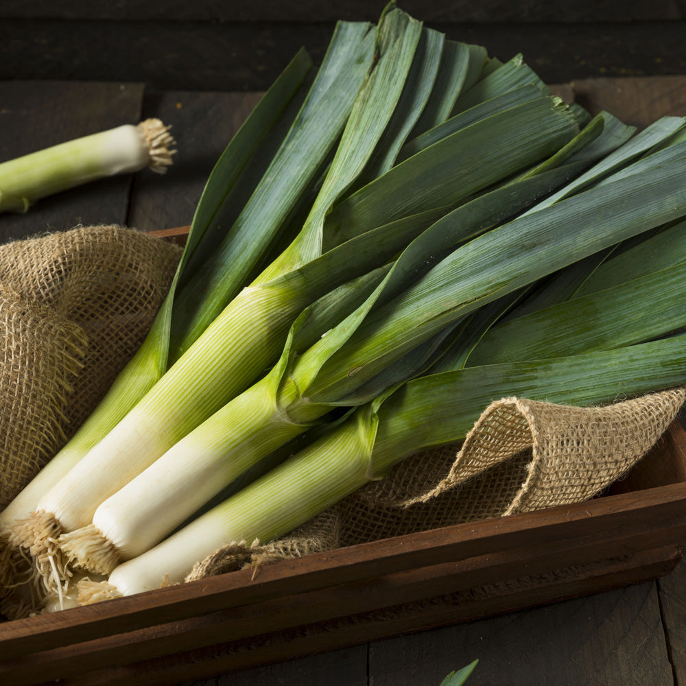 Seminte Praz Winner 1 g