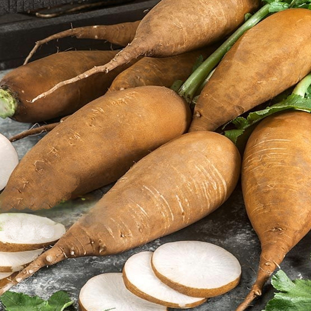 Seminte Ridichi de vara Janosnapi 3 g