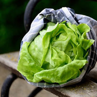 Thumbnail for Seminte Salata Winter Butterkopf 2.5 g