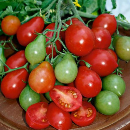 Seminte Tomate Radana 0.5 g