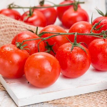 Seminte Tomate pentru balcon Balkonzauber 0.2g
