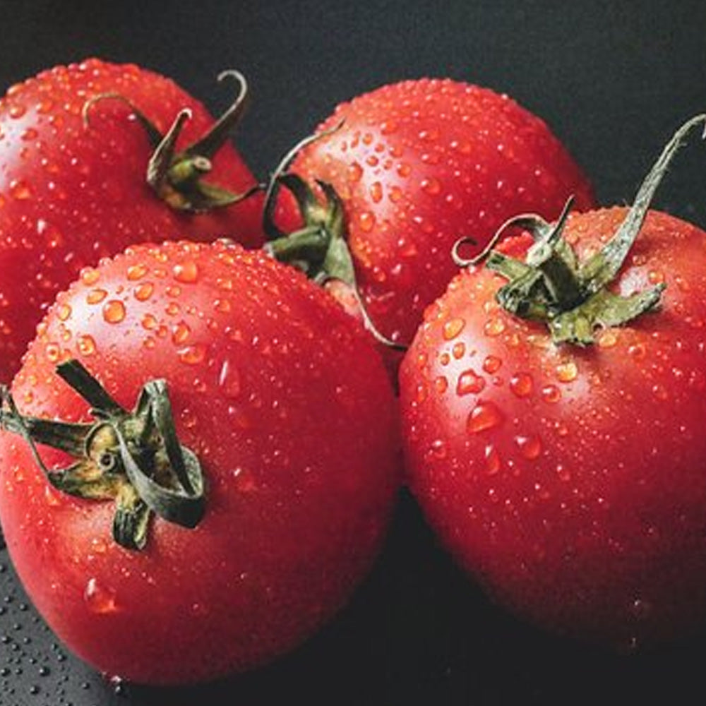 Seminte Tomate Campbell 33 1g