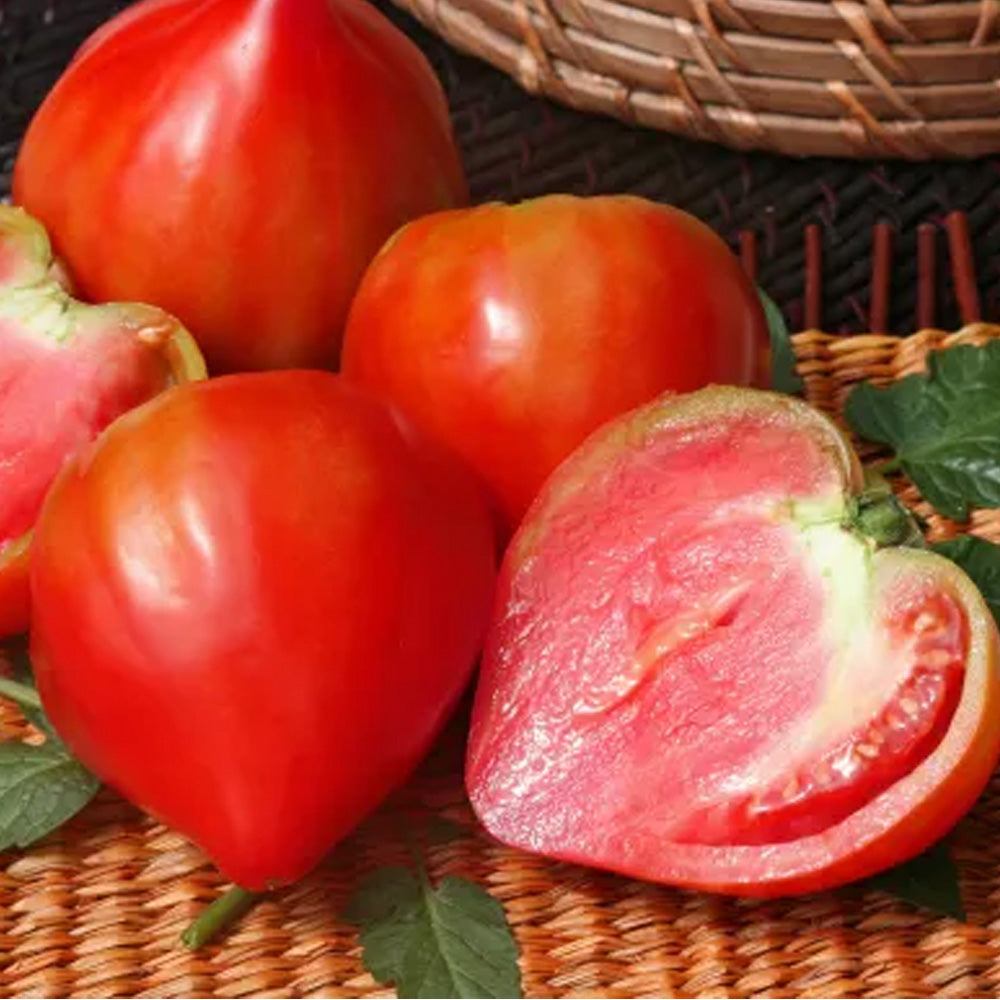 Seminte Tomate Inima de Bou 5 g