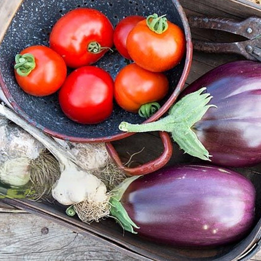 Seminte Tomate Mano 0.5 g