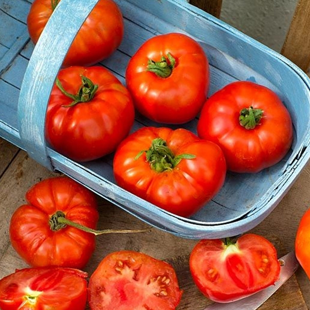 Seminte Tomate Marmande 0.5 g
