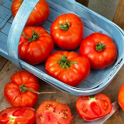 Seminte Tomate Marmande 0.5 g
