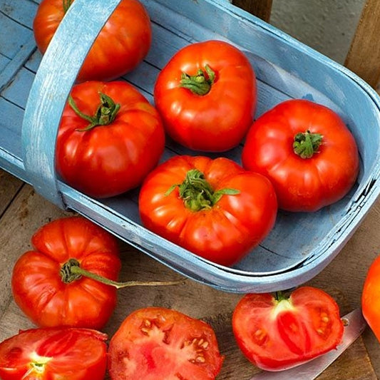 Seminte Tomate Marmande 0.5 g